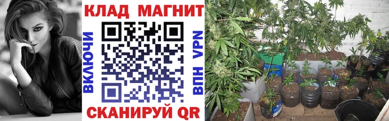 Купить Каннабис  Меф  COCAIN  СК  Гашиш  Приозерск