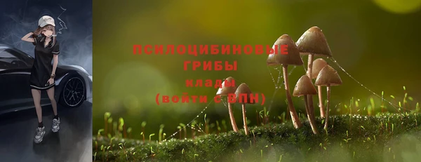 ALPHA PVP Алексеевка