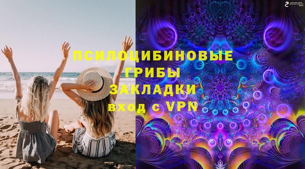 ALPHA PVP Алексеевка