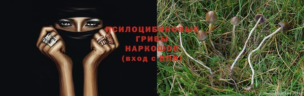 mdpv Алзамай