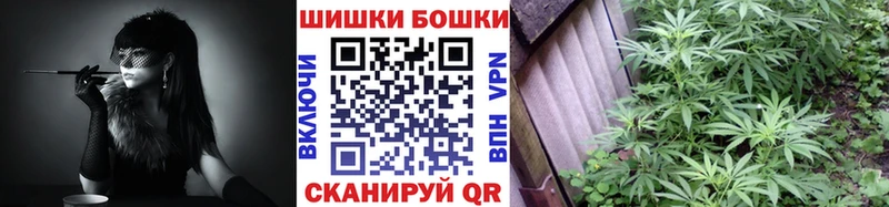 Бошки марихуана Amnesia  Купить закладки  Приозерск 